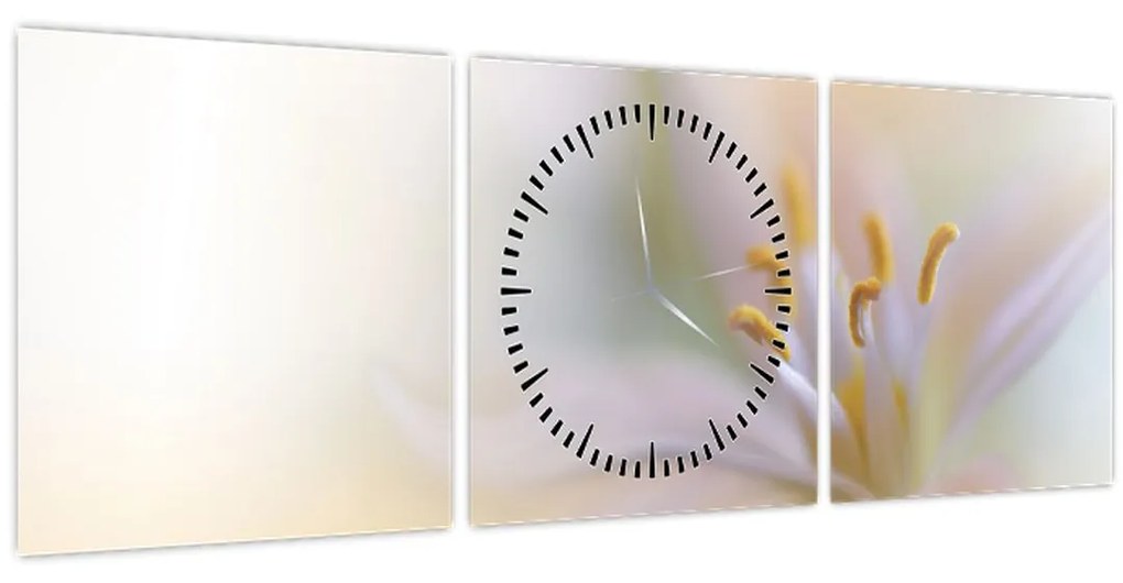 Obraz - Jemný kvet (s hodinami) (90x30 cm)