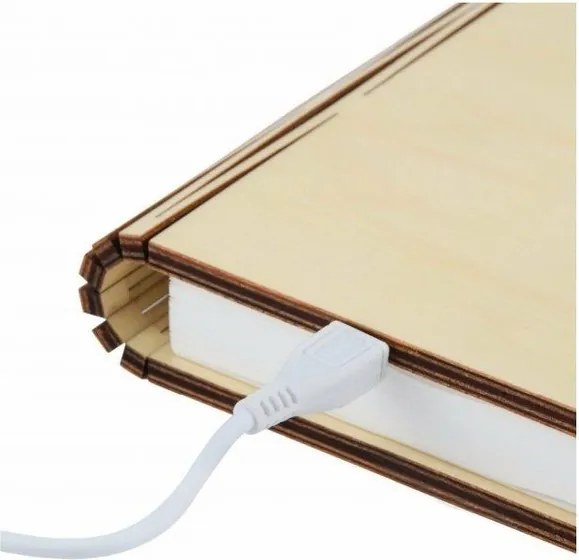 Čierna svetelná dekorácia na USB Booklight – Gingko