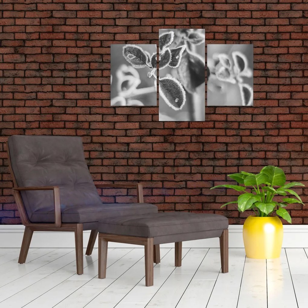 Obraz - Príroda na jeseň (90x60 cm)