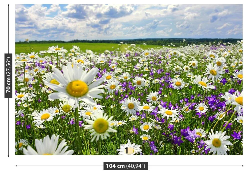 Fototapeta Vliesová Lúky a kvety 250x104 cm