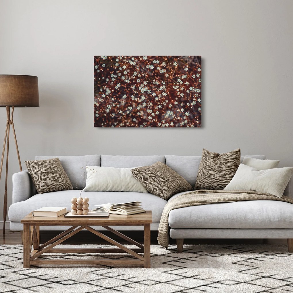 Obraz kvetu Nezábudky lesnej (90x60 cm)