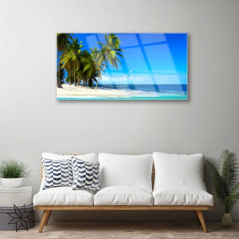 Obraz na skle Palma strom more krajina 120x60 cm