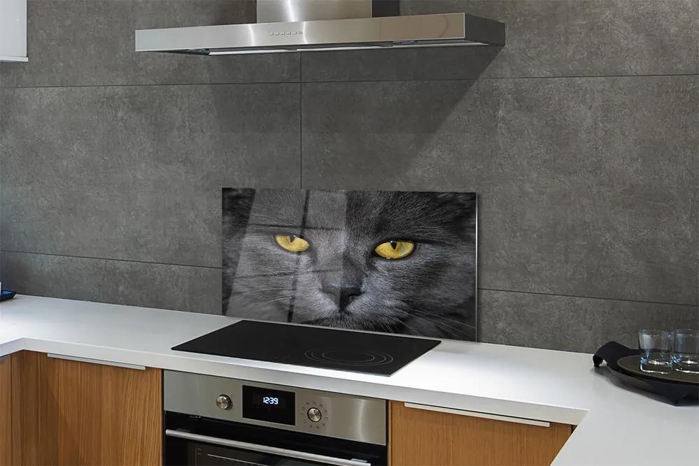 Nástenný panel  Čierna mačka 140x70 cm