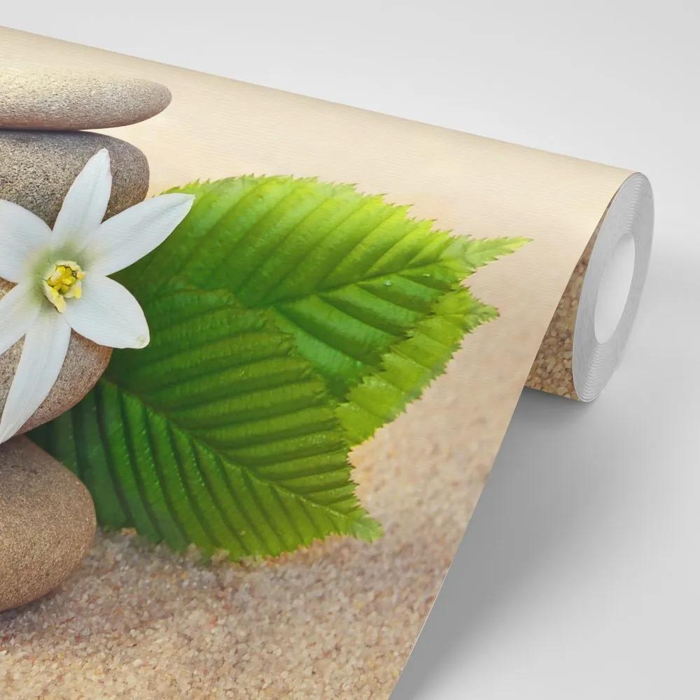 Fototapeta biely kvet a kamene v piesku - 225x150