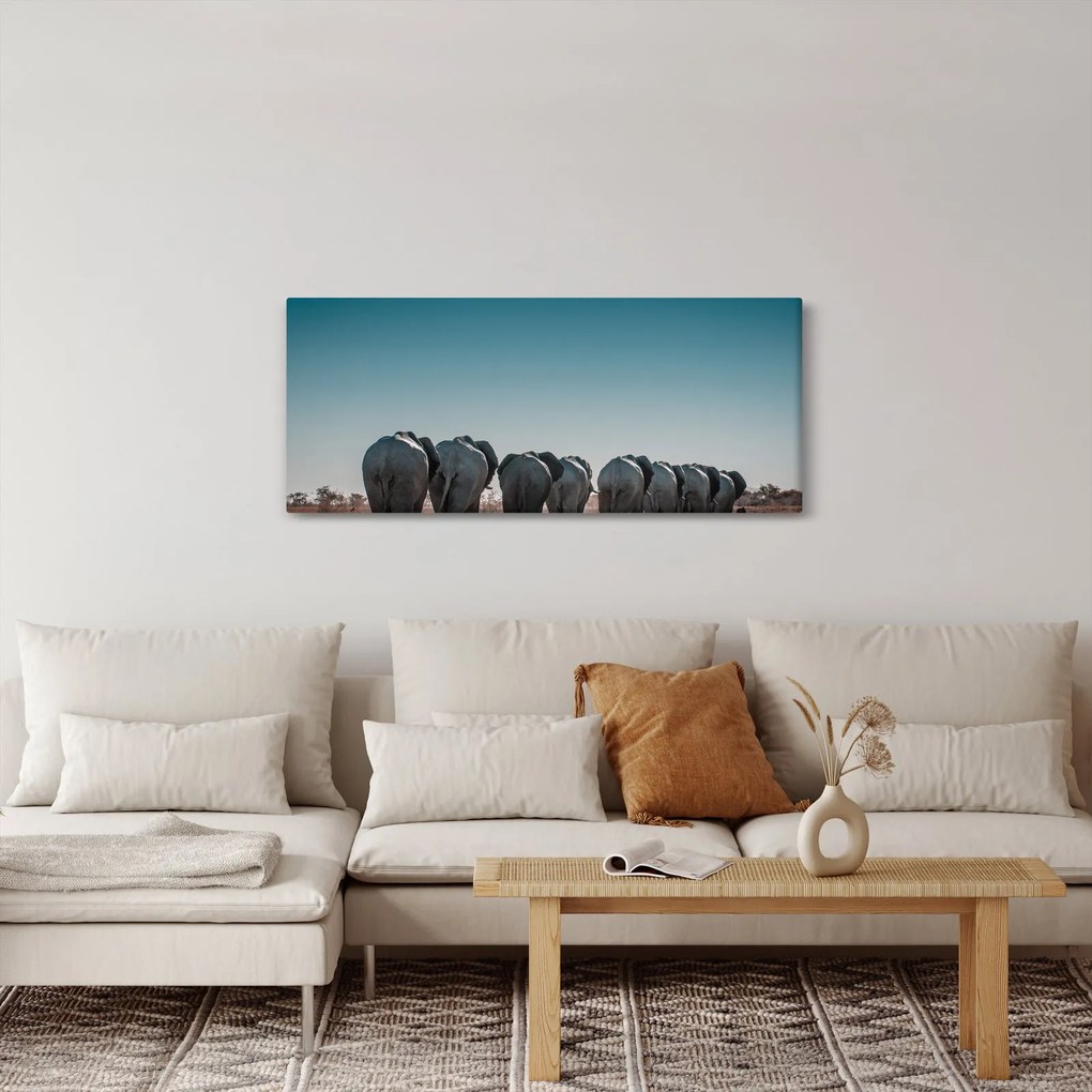 Obraz - Odchod slonov (120x50 cm)