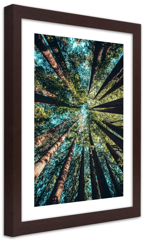 Gario Plagát Konáre vysokých stromov Farba rámu: Bez rámu, Rozmery: 20 x 30 cm