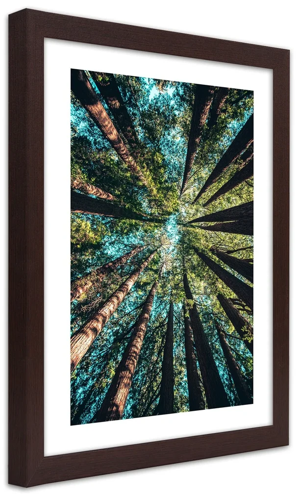 Gario Plagát Konáre vysokých stromov Farba rámu: Bez rámu, Rozmery: 60 x 90 cm