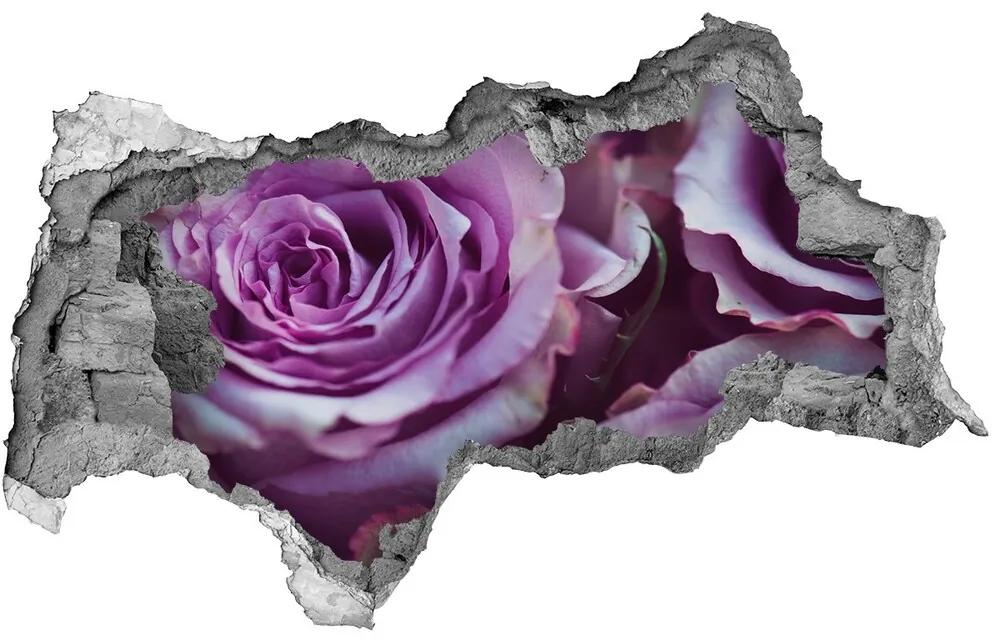 Fototapeta nálepka na stenu Fialové ruže nd-b-106010688
