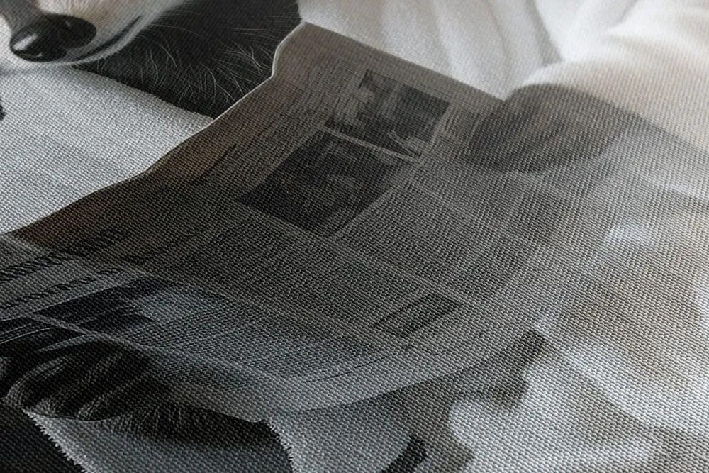 Obraz medvedík čistotný s novinami na záchode