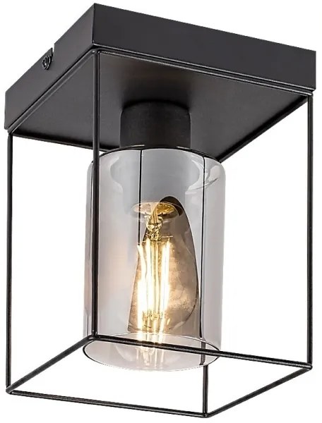 Rabalux 71031 - Stropné svietidlo CHADWICK 1xE27/25W/230V