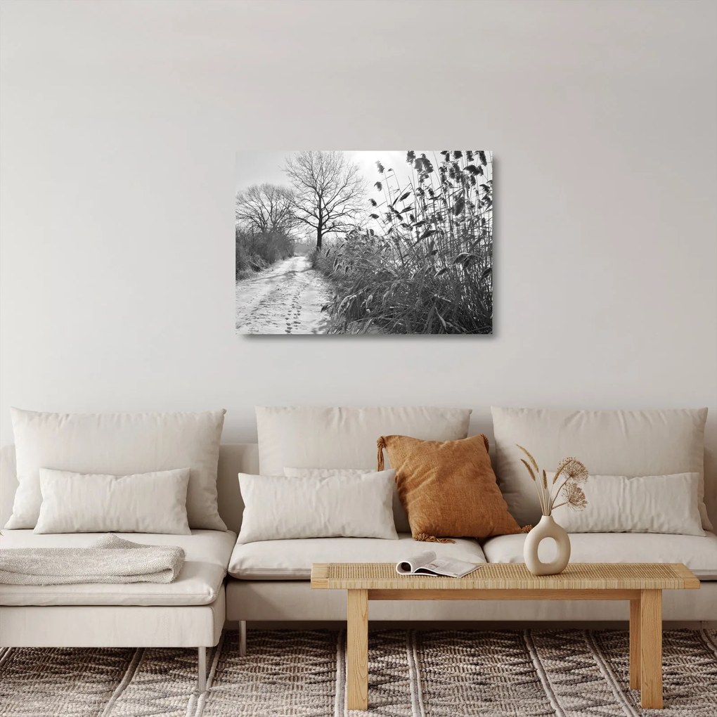 Sklenený obraz - Pole v zime (70x50 cm)