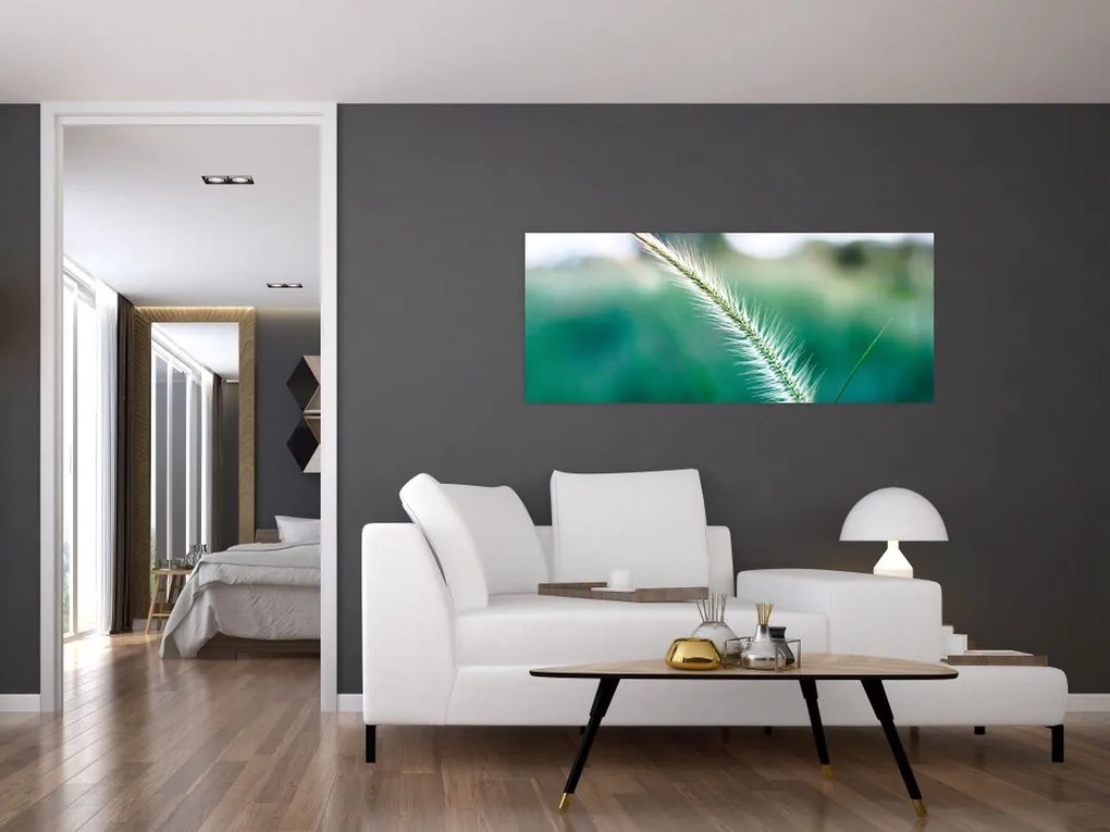 Obraz steblá trávy (120x50 cm)