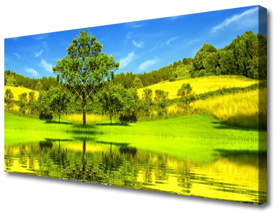 Obraz Canvas Lúka strom príroda 140x70cm