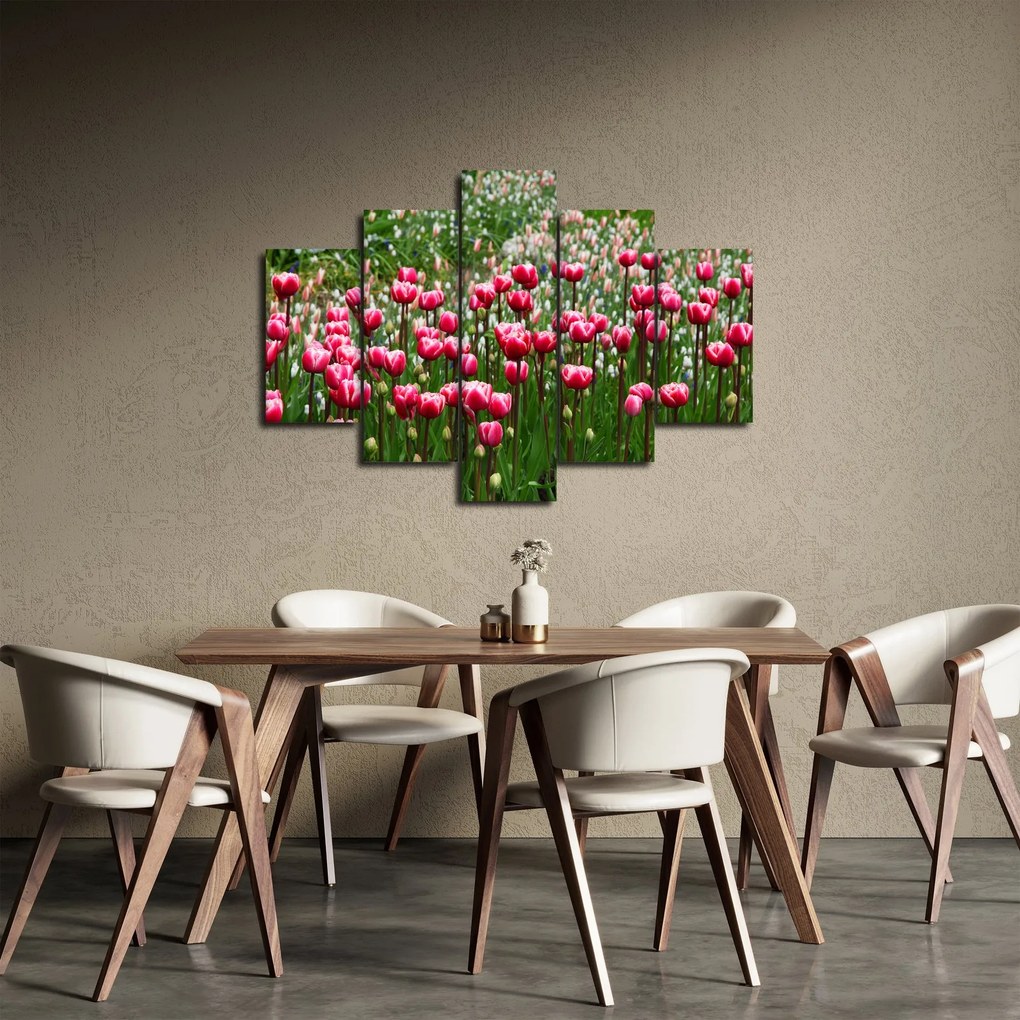 Obraz tulipánov (150x105 cm)