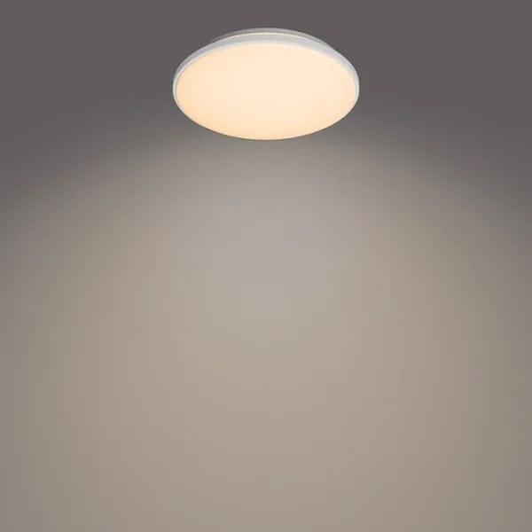 Philips - LED Stmievateľné stropné svietidlo WINCEL LED/24W/230V 2700-6500K + DO