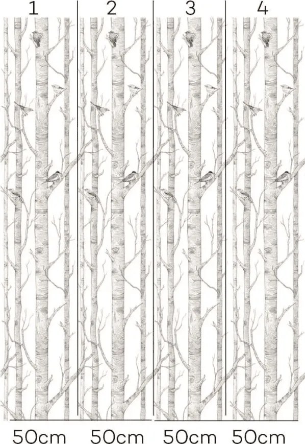 Tapeta brezový les 280x50 cm
