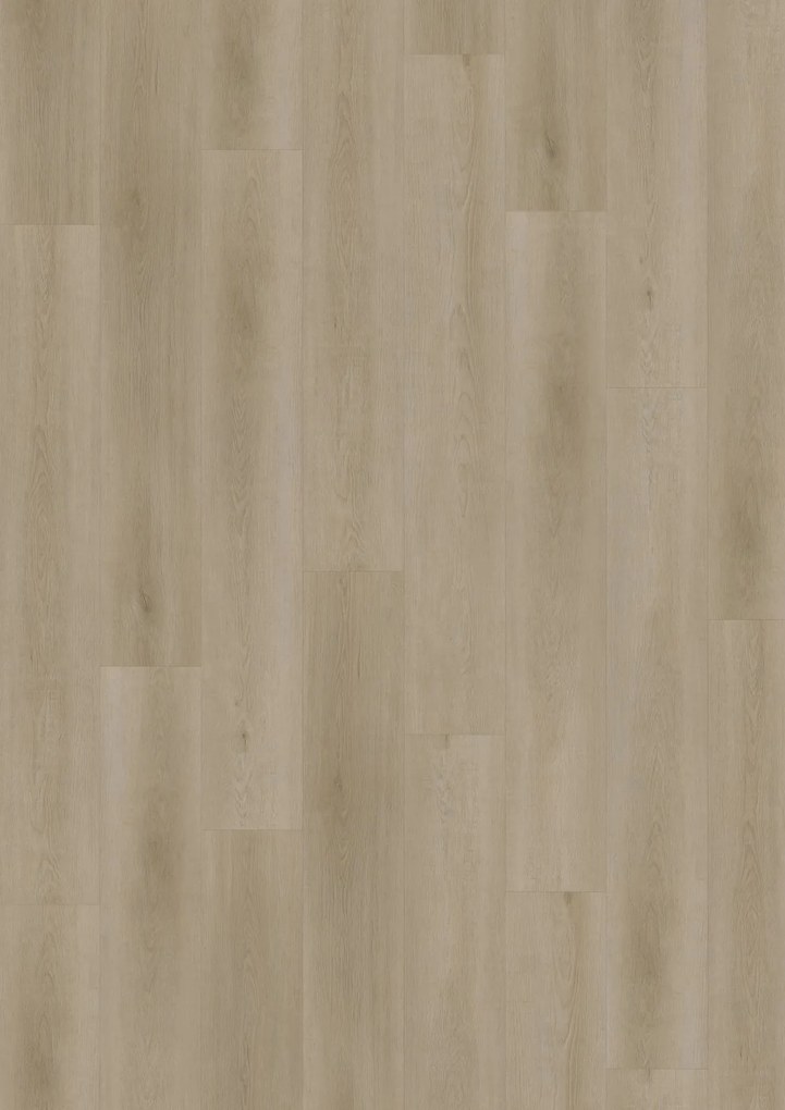 Oneflor, Vinylová podlaha lepená ECO 55 052 Raw Oak Light Natural, 1219,2 x 184,1 mm