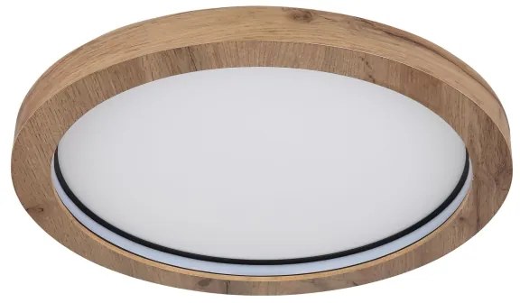 Globo 41374-24R - LED RGBW Stmievateľné stropné svietidlo BRANZA LED/24W/230V + DO