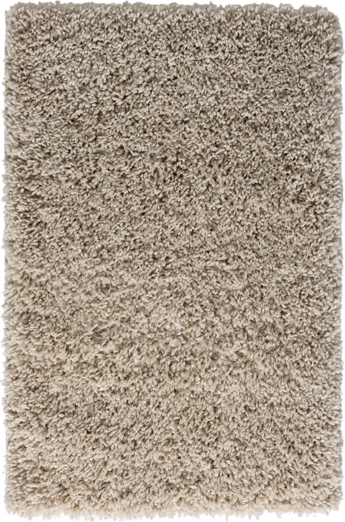 Kusový koberec My Shaggy beige, 60x90, béžová, chodba / predsieň, My Flair