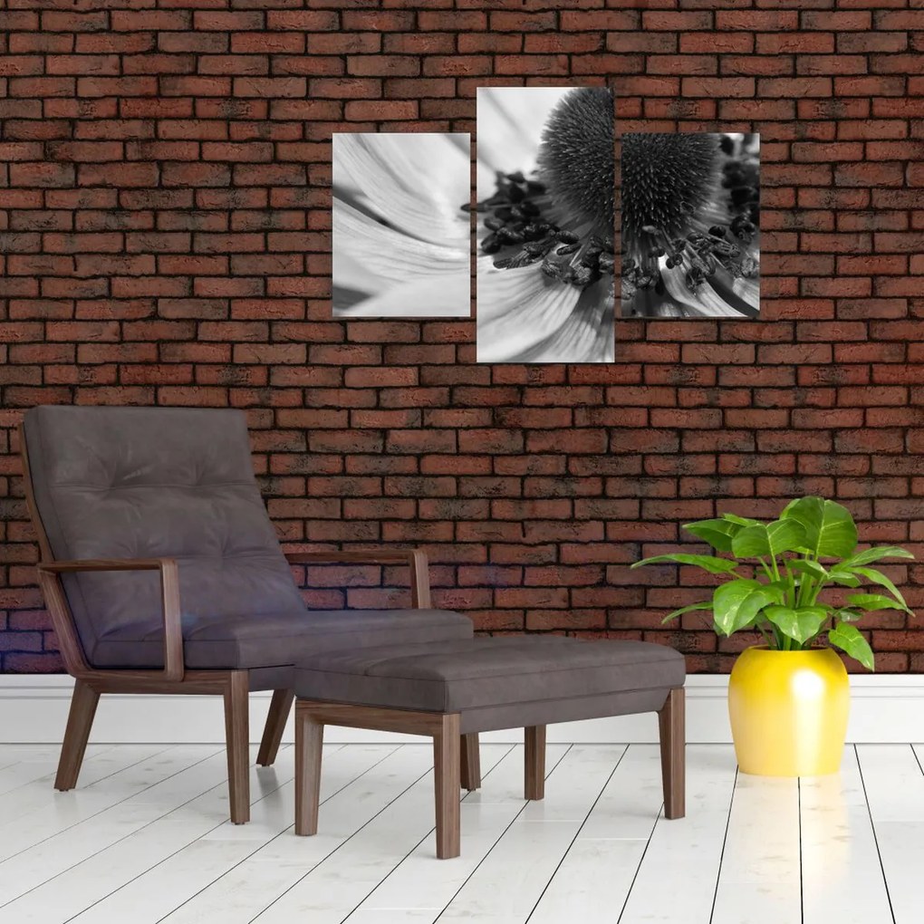Obraz - Kvetina v čiernobielej (90x60 cm)
