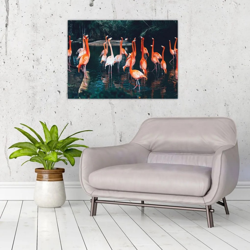 Sklenený obraz stádo plameniakov (70x50 cm)