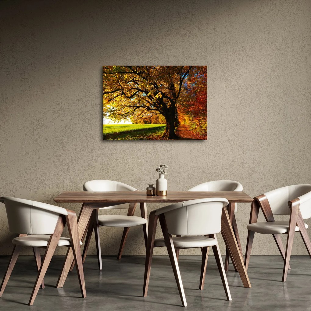 Obraz jesene (70x50 cm)