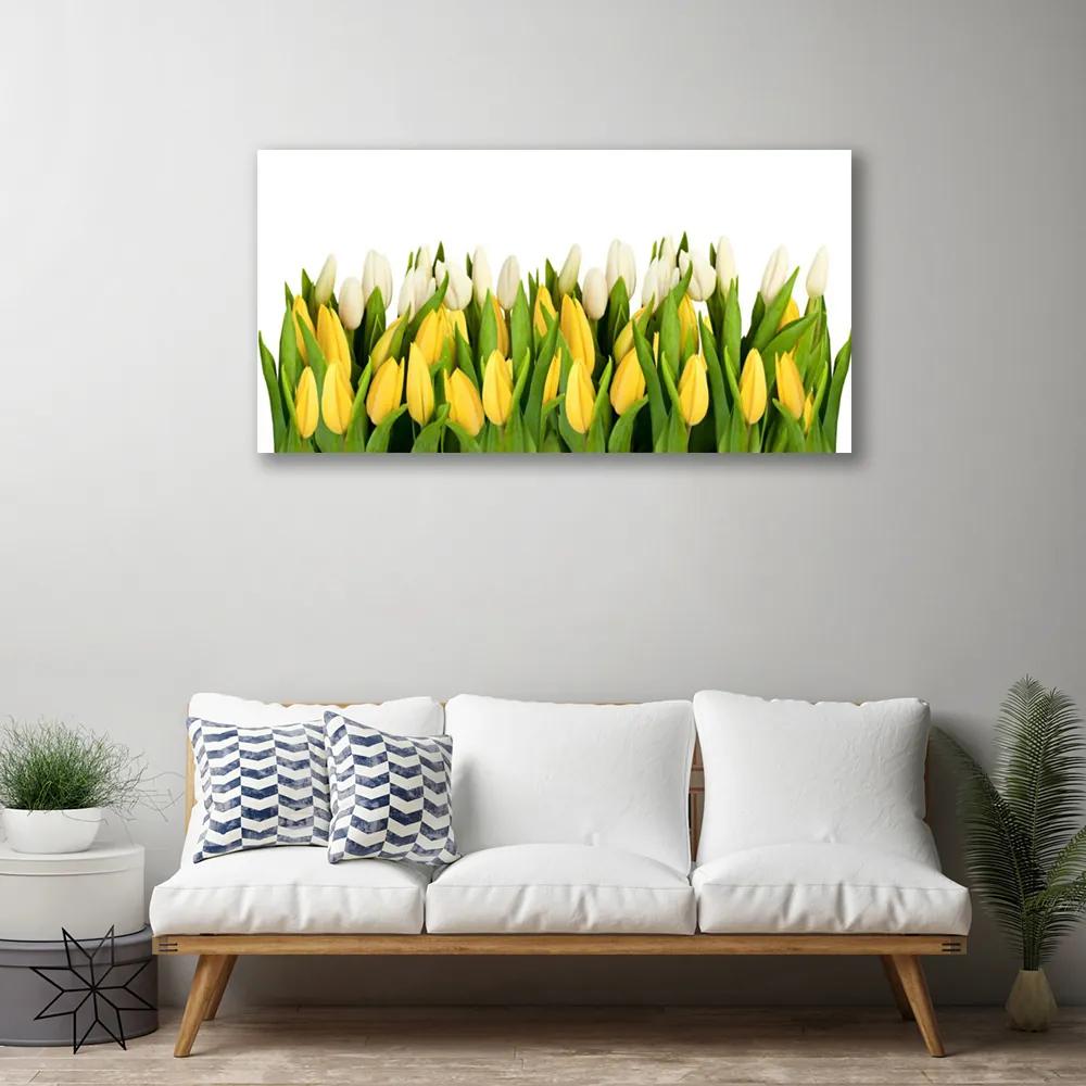 Obraz na plátne Tulipány kvety rastlina 140x70 cm