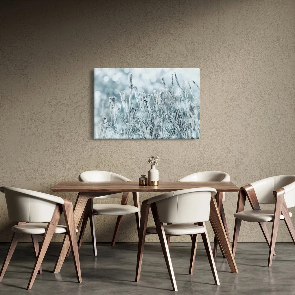 Obraz - Kúzlo zimy (90x60 cm)