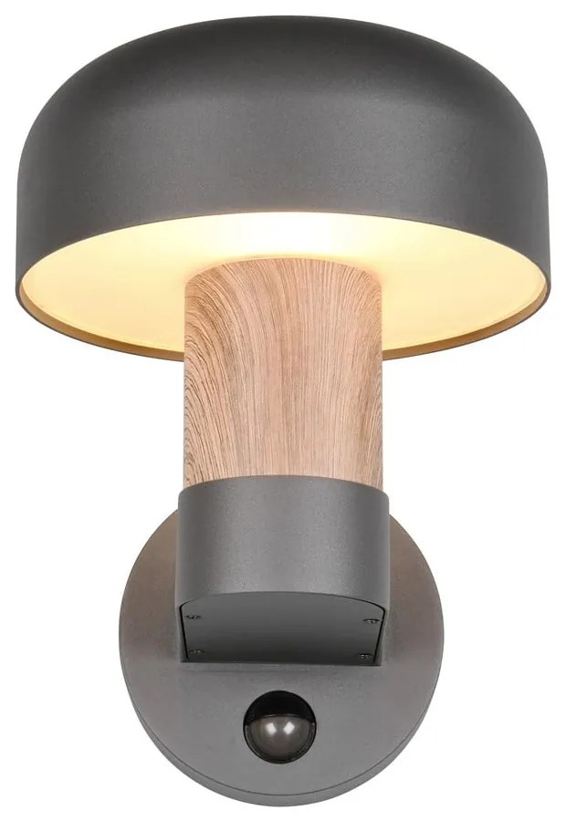 Nástenné vonkajšie svietidlo (výška 24,5 cm) Fraser – Trio