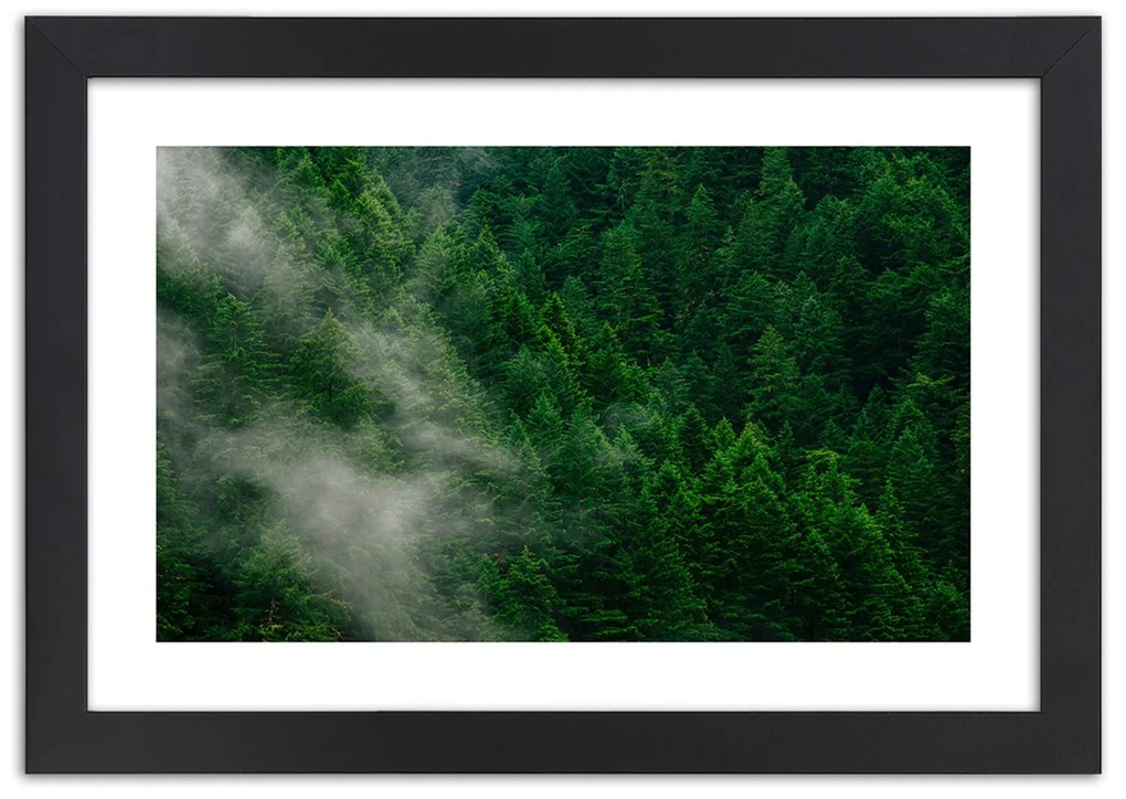 Gario Plagát Hmla nad lesom Farba rámu: Čierna, Rozmery: 60 x 40 cm