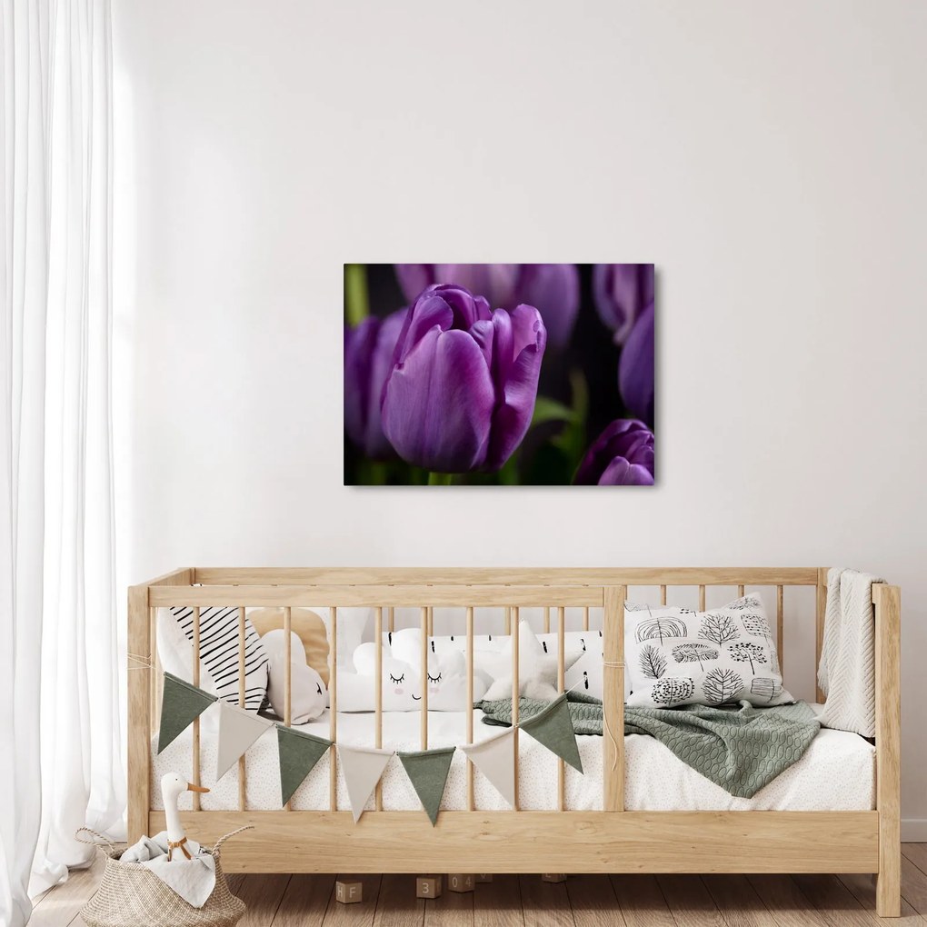 Obraz kvetov tulipánov (70x50 cm)