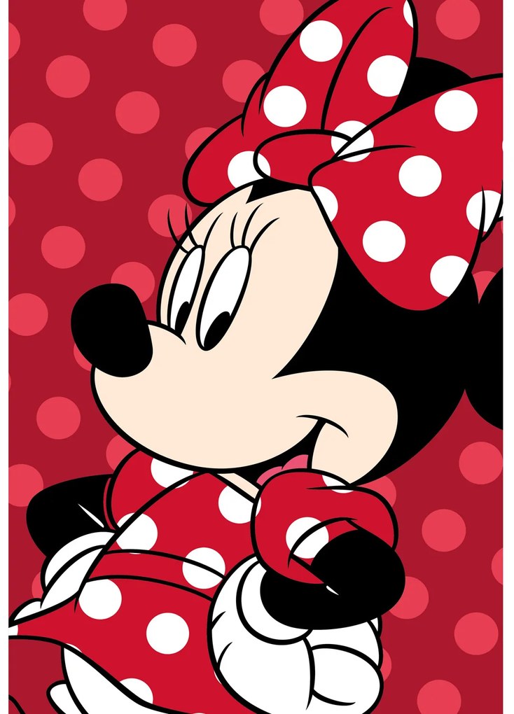 DETSKÁ FLEECOVÁ DEKA MINNIE 100X150 CM VZOROVANÁ