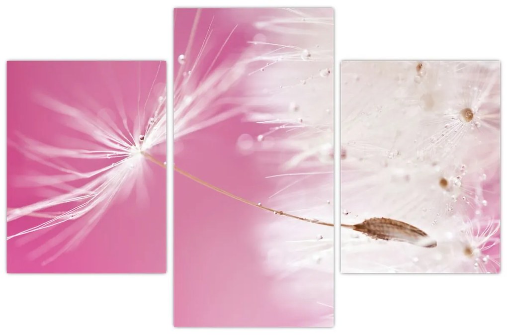 Obraz - Makro kvetu (90x60 cm)