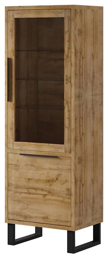 Vitrína 2d Halle 05 Dub Wotan