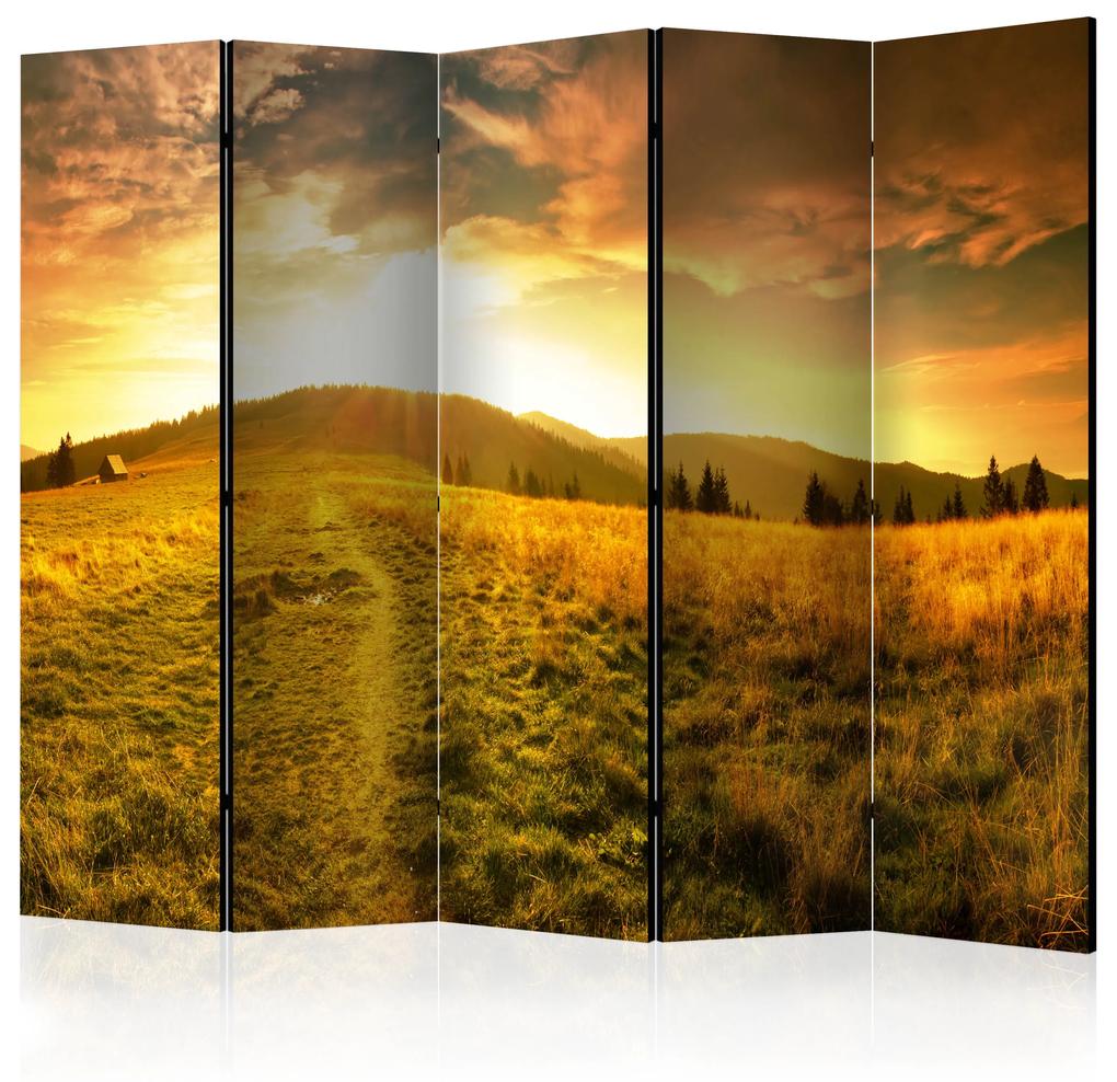 Artgeist Paraván - Road to the Hill II [Room Dividers]