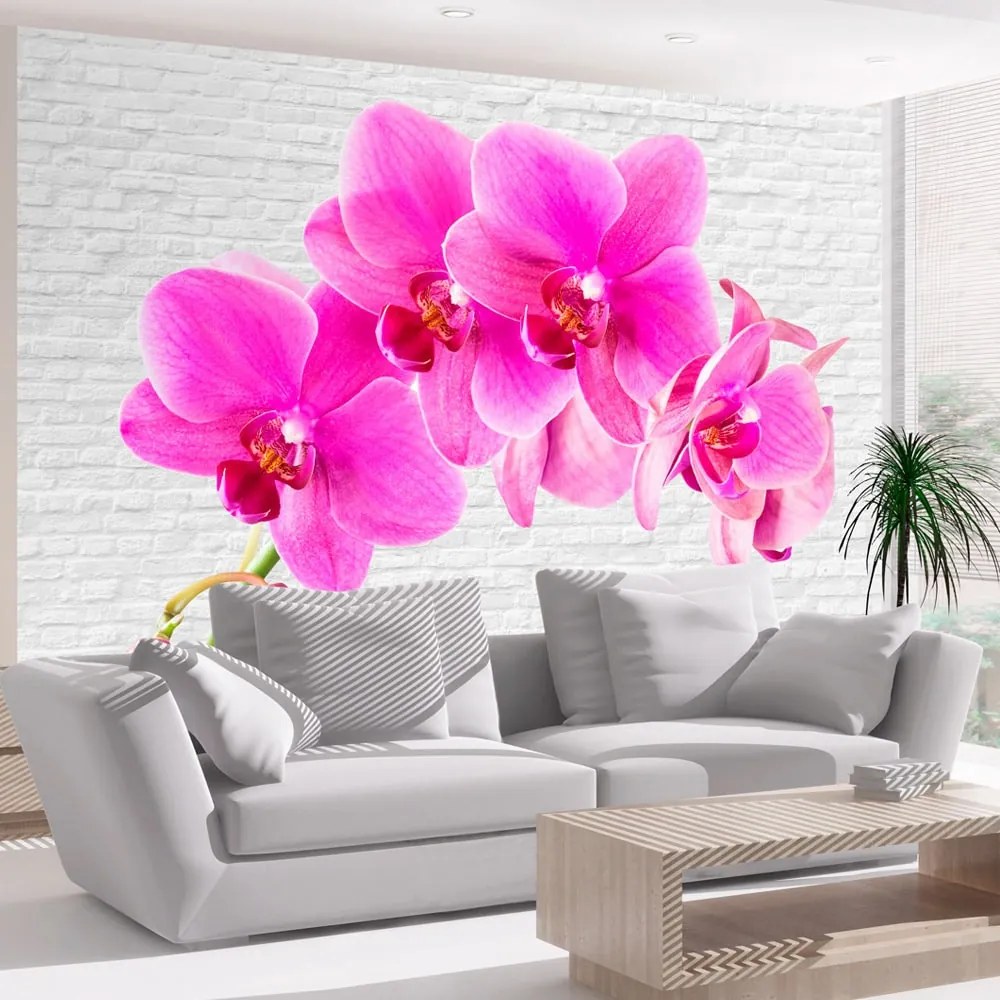 Fototapeta Ružová orchidea - Pink excitation