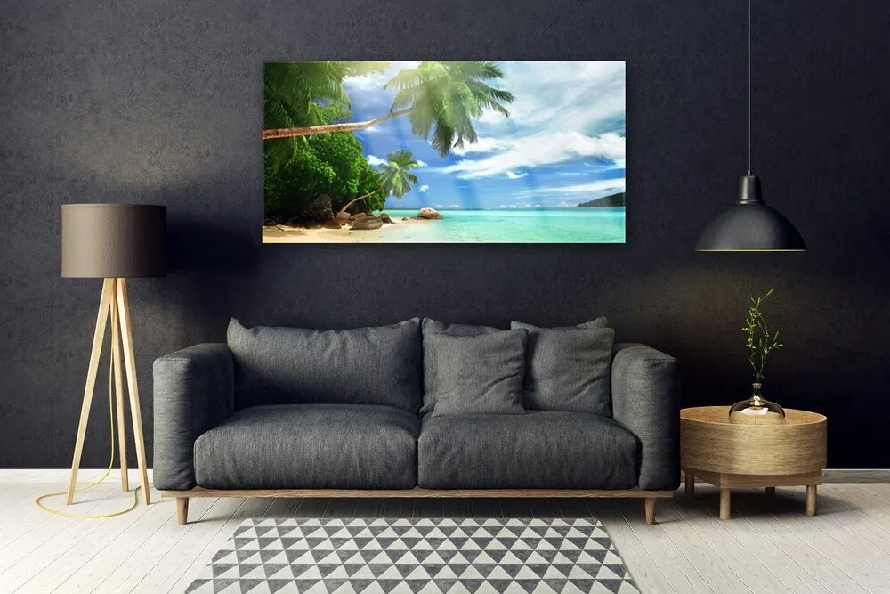 Obraz plexi Palma pláž more krajina 120x60 cm