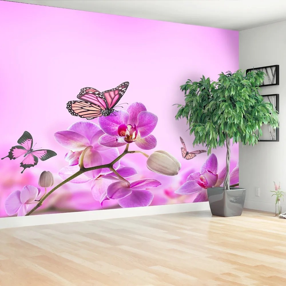 Fototapeta Vliesová Orchid motýľ 152x104 cm