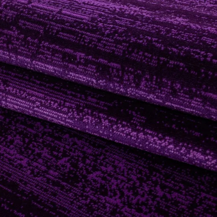 Ayyildiz, Kusový koberec Plus 8000 lila, 120x170, fialová, chodba / predsieň