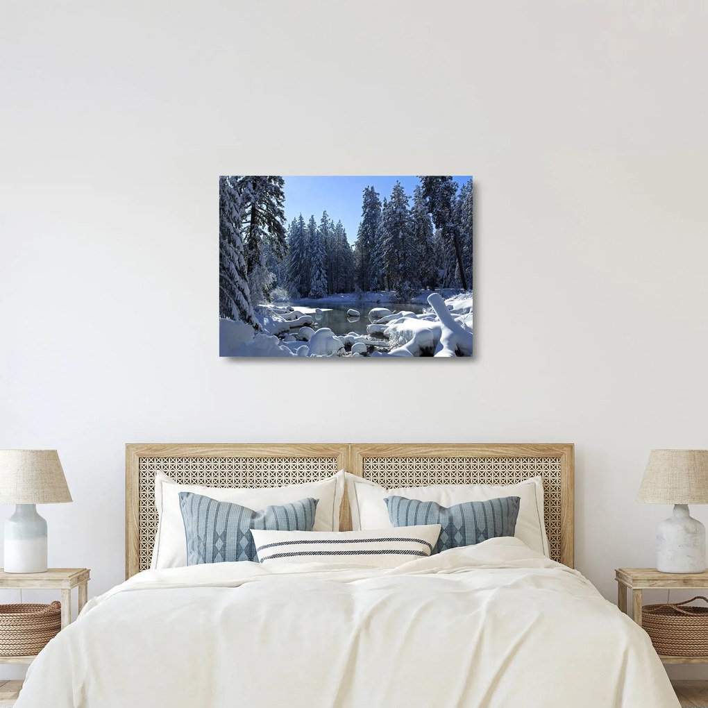 Sklenený obraz zasneženého lesa (70x50 cm)