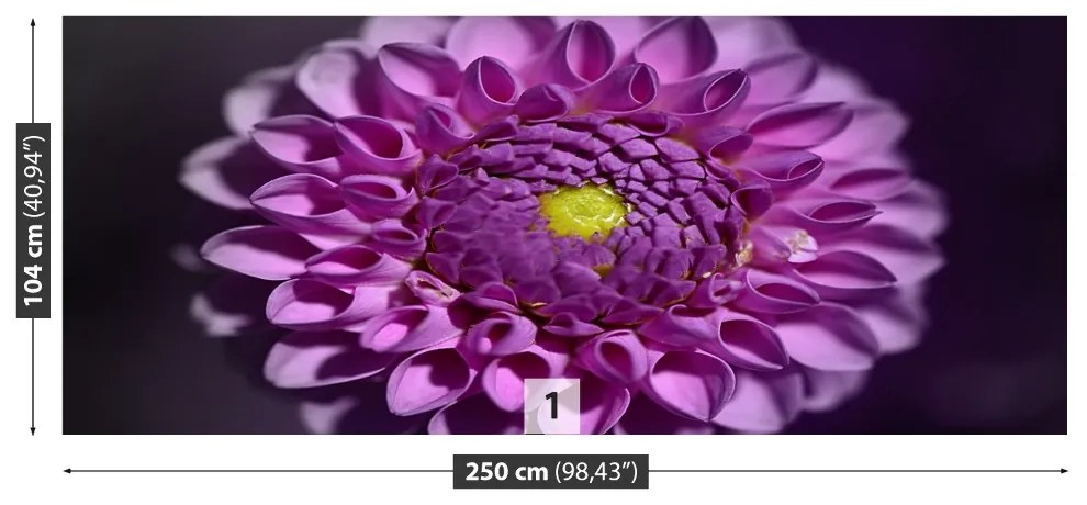 Fototapeta Vliesová Dahlia ružová 152x104 cm