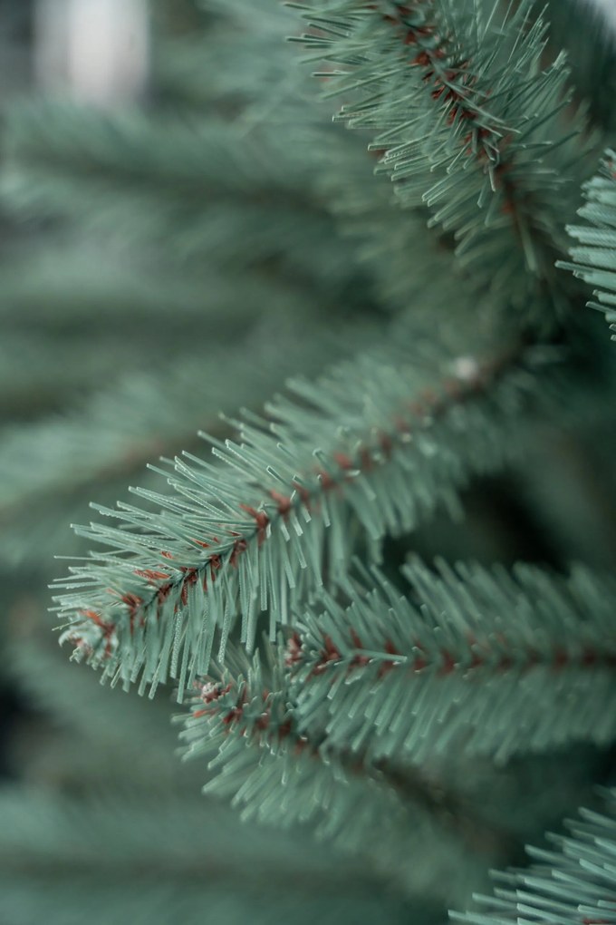 Limpol Jedľa Renáta silver 180 cm