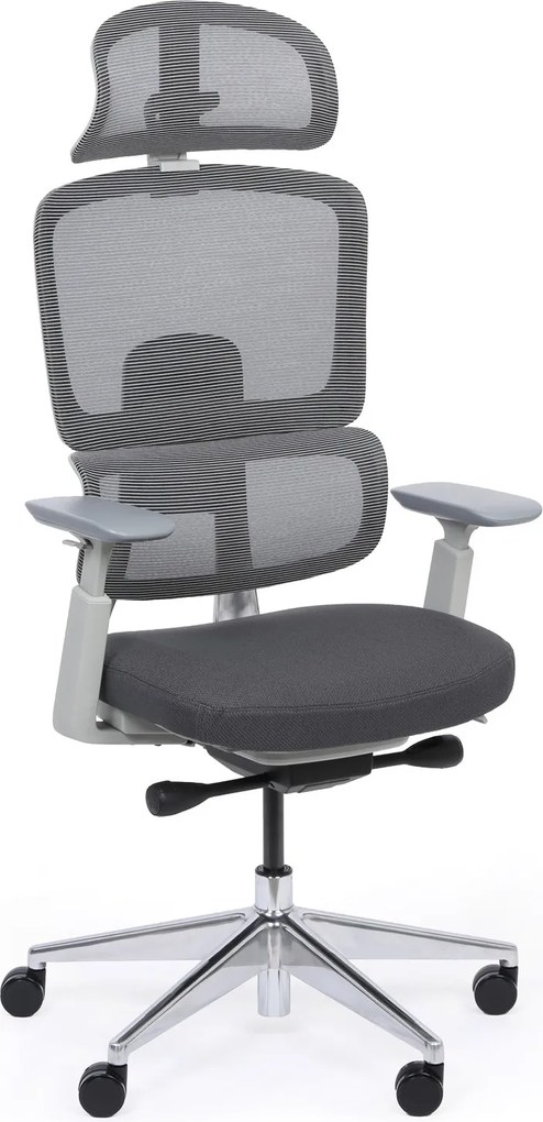 Kancelárska stolička WILMOT MF 1+1 ZADARMO, sivý rám, sivá
