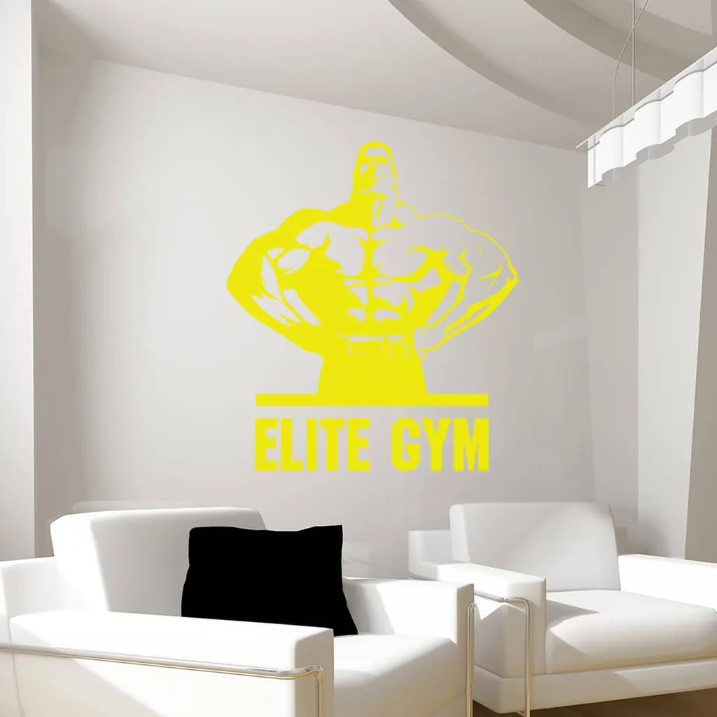 Veselá Stena Samolepka na stenu na stenu Elite Gym Farba: černá