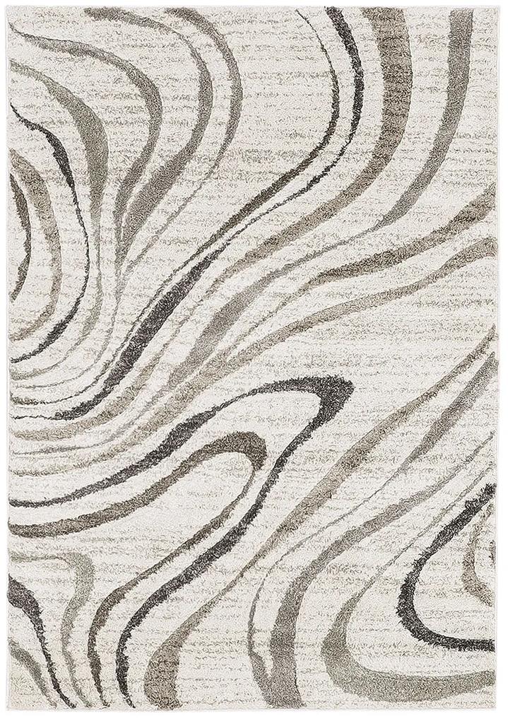 Koberce Breno Kusový koberec CASTRO Carved 162/NQ2W, viacfarebná,120 x 170 cm