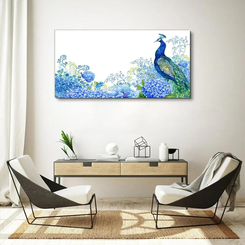 Obraz canvas Kvety vták Peacock