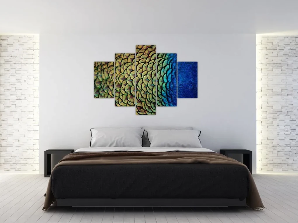 Obraz - Pávie perie (150x105 cm)