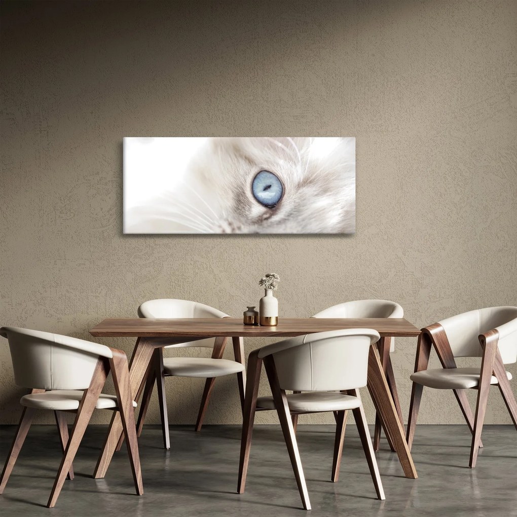 Obraz - Mačka s modrými očami (120x50 cm)