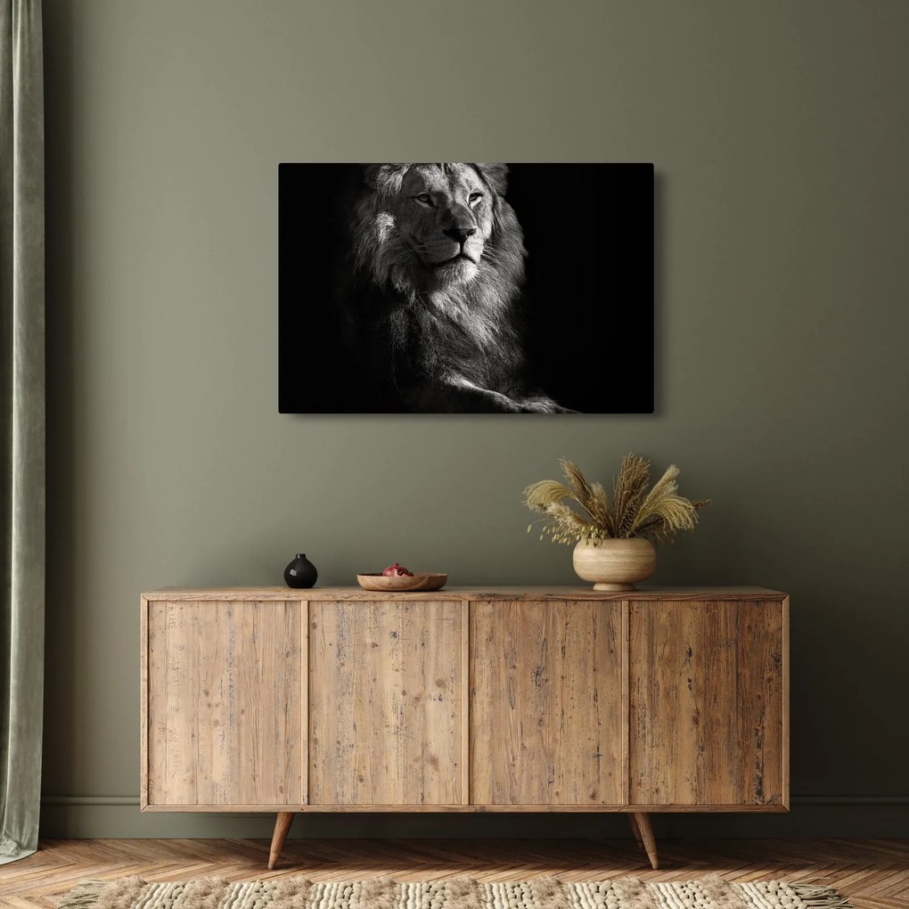 Obraz - Lev (90x60 cm)