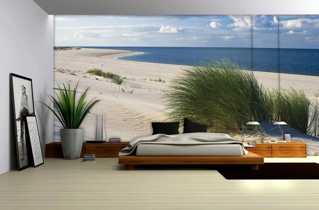 Fototapeta - Pláž Severného mora (254x184 cm)